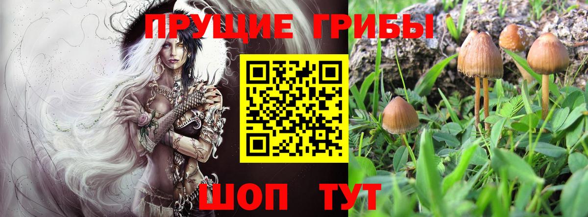 Дербент  Галлюциногенные грибы мухоморы  Вход с VPN 